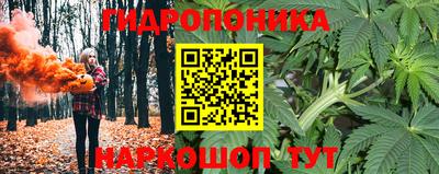 ПСИЛОЦИБИНОВЫЕ ГРИБЫ Бузулук