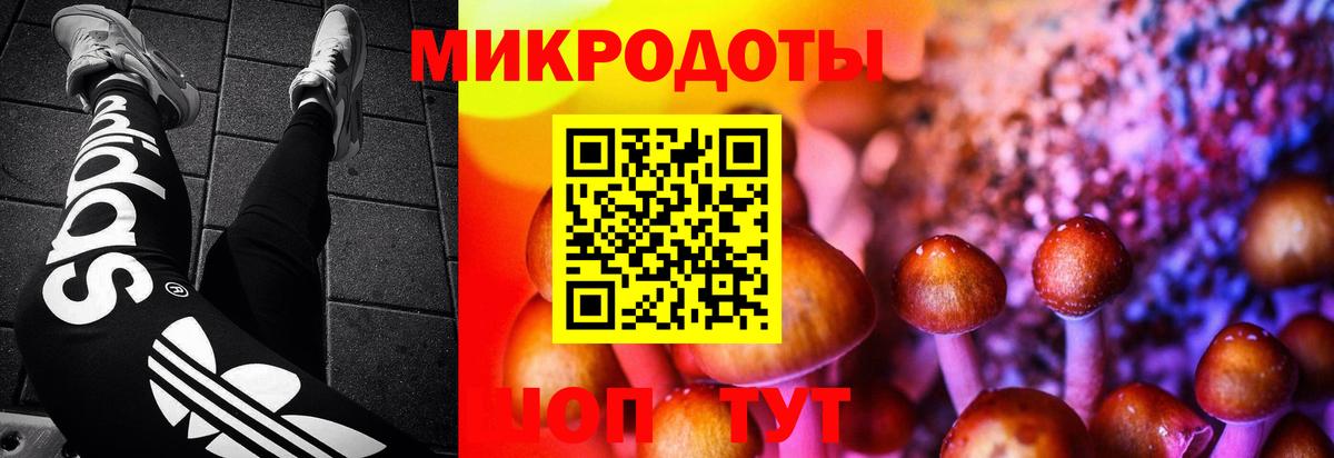 Орехово-Зуево  Галлюциногенные грибы мицелий  Вход с VPN  Галлюциногенные грибы GOLDEN TEACHER 